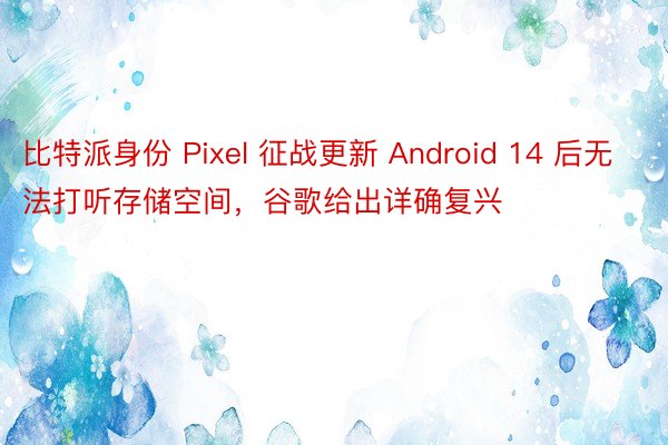 比特派身份 Pixel 征战更新 Android 14 后无法打听存储空间，谷歌给出详确复兴