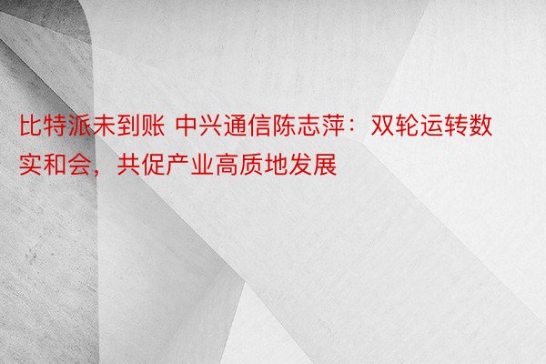 比特派未到账 中兴通信陈志萍：双轮运转数实和会，共促产业高质地发展