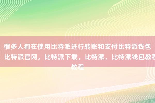 很多人都在使用比特派进行转账和支付比特派钱包，比特派官网，比特派下载，比特派，比特派钱包教程