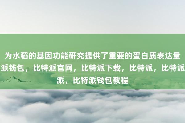 为水稻的基因功能研究提供了重要的蛋白质表达量资源比特派钱包，比特派官网，比特派下载，比特派，比特派钱包教程