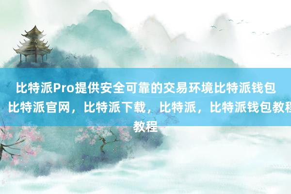 比特派Pro提供安全可靠的交易环境比特派钱包，比特派官网，比特派下载，比特派，比特派钱包教程