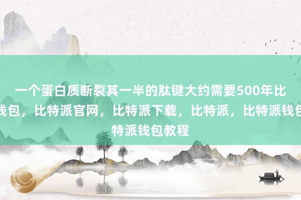 一个蛋白质断裂其一半的肽键大约需要500年比特派钱包，比特派官网，比特派下载，比特派，比特派钱包教程