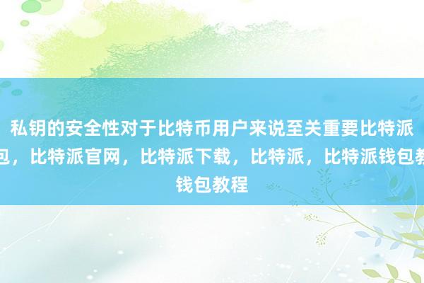 私钥的安全性对于比特币用户来说至关重要比特派钱包，比特派官网，比特派下载，比特派，比特派钱包教程