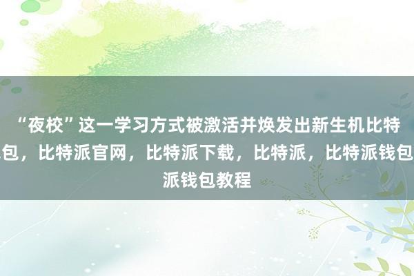 “夜校”这一学习方式被激活并焕发出新生机比特派钱包，比特派官网，比特派下载，比特派，比特派钱包教程