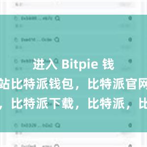 进入 Bitpie 钱包的官方网站比特派钱包，比特派官网，比特派下载，比特派，比特派钱包教程