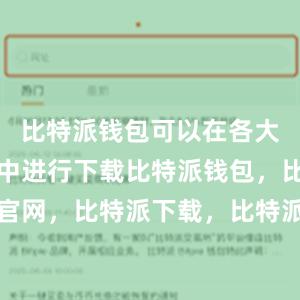 比特派钱包可以在各大应用商店中进行下载比特派钱包，比特派官网，比特派下载，比特派，比特派钱包教程